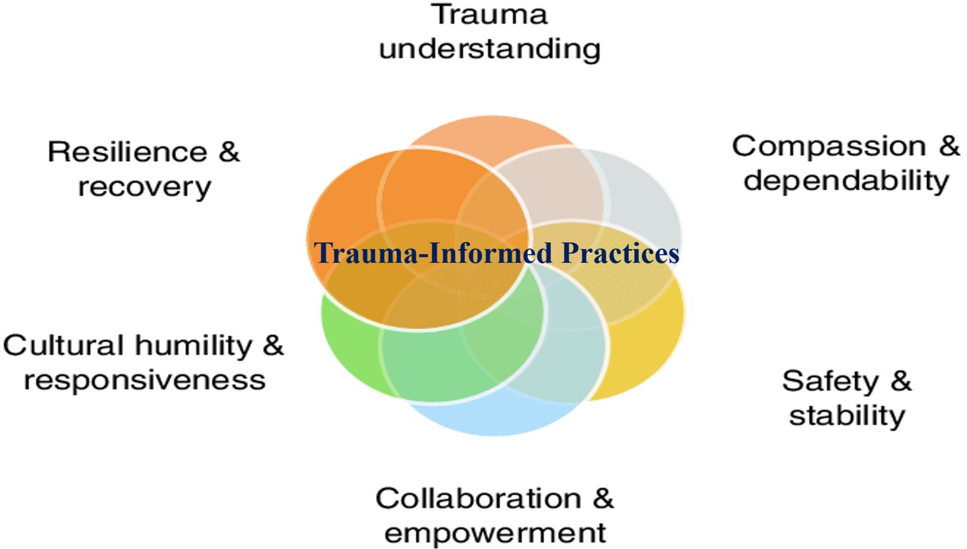 Trauma-informed practices and training in school